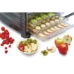 Picture of Buffalo 10 Tray Dehydrator - CD965