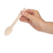 Picture of Fiesta Compostable Wooden Dessert Spoons (Pack of 100) - CD904