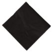Picture of Swantex Cocktail Napkin Black 25x25cm 2ply 1/4 Fold (Pack of 2000) - CB666