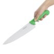 Picture of Hygiplas Chef Knife Green 25cm - C868