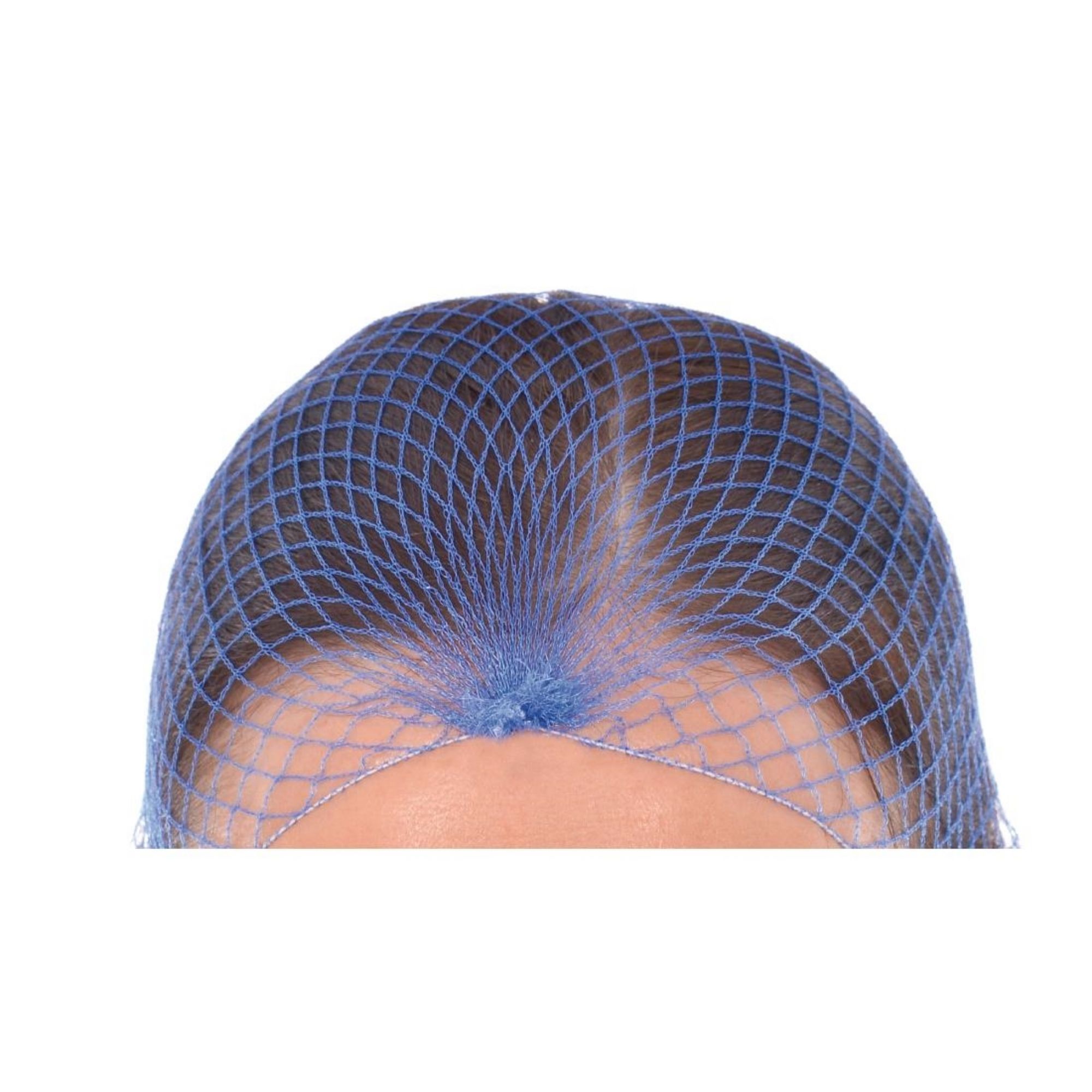 Picture of Lion Haircare Hair Net Light Blue (Pack of 50)