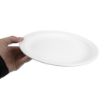 Picture of Olympia Whiteware Narrow Rimmed Plates 250mm (Pack of 12) - CB490