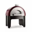 Picture of ALFA Quick Professional Wood Fired Pizza Oven - ALFAQUICK