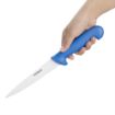 Picture of Hygiplas Fillet Knife Blue 16cm - C853