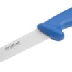 Picture of Hygiplas Fillet Knife Blue 16cm - C853