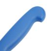 Picture of Hygiplas Fillet Knife Blue 16cm - C853