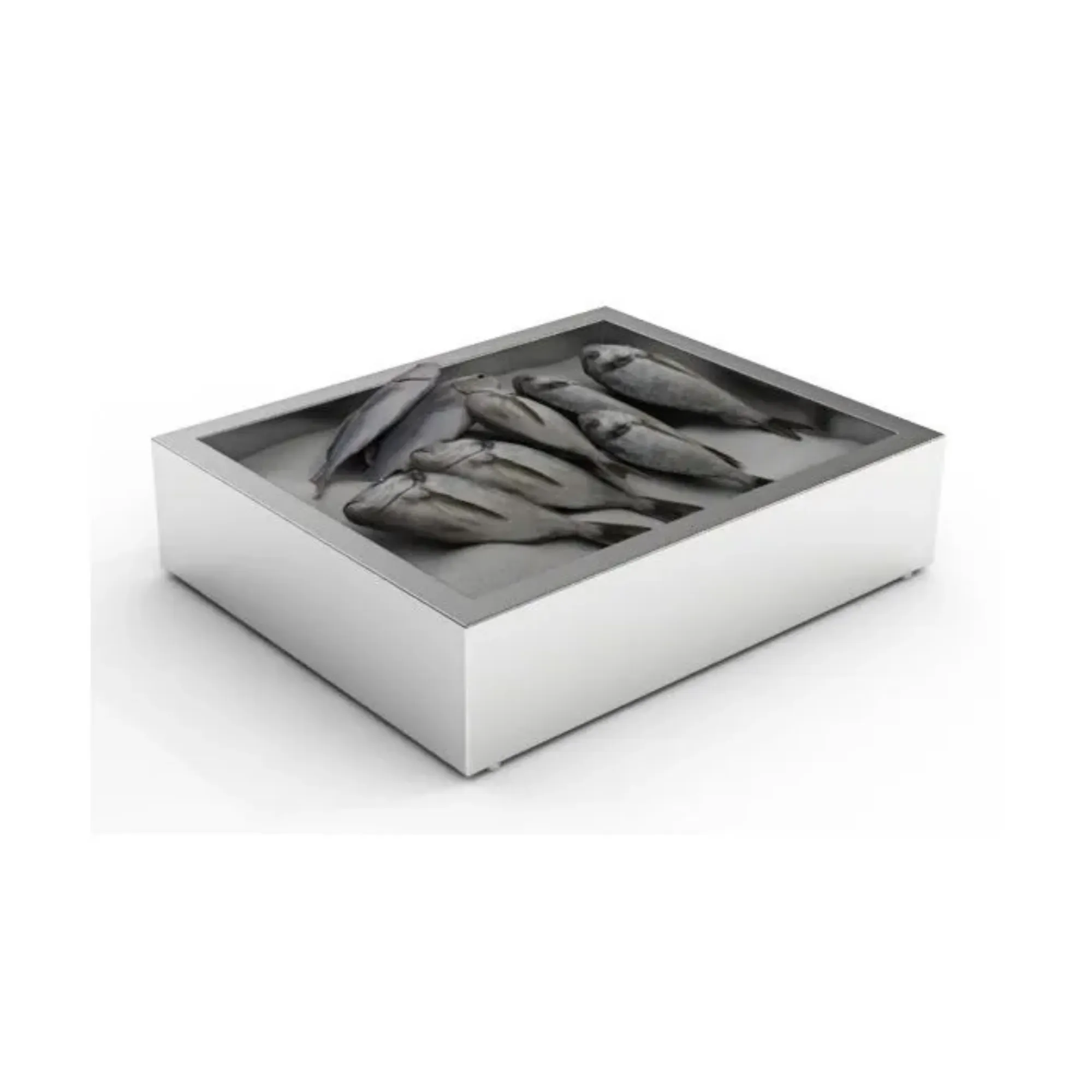 Picture of CombiSteel Crushed Ice Bin 2/1 Gastronorm - 7013.2705