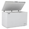 Picture of BLIZZARD Stainless Steel Lid Chest Freezer 450L - CF450SS