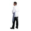 Picture of Whites Bib Apron Blue And White Check - A554