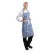 Picture of Whites Bib Apron Blue And White Check - A554
