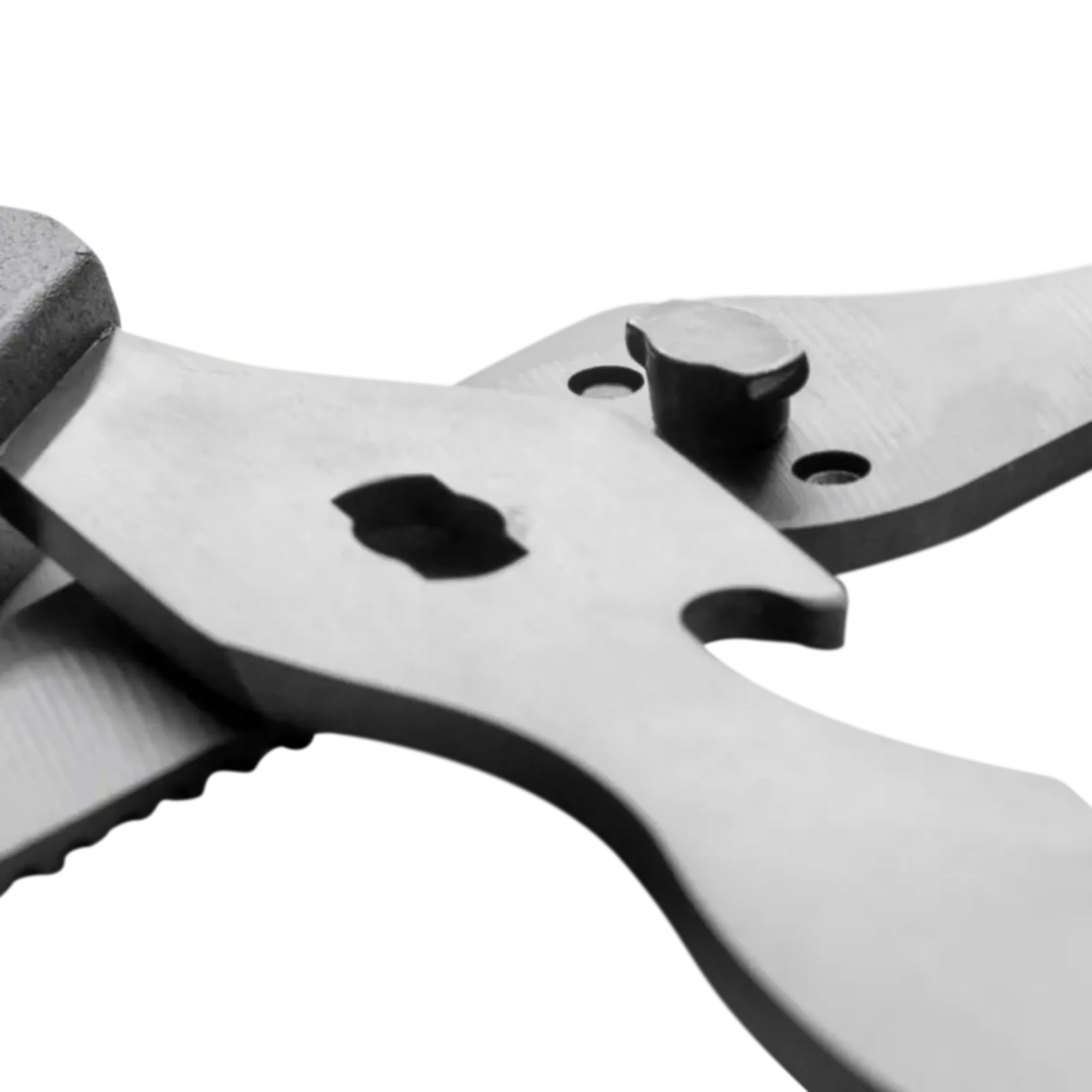 Picture of Traeger BBQ Shears