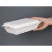 Picture of Fiesta Compostable Bagasse Hinged Food Containers 248mm - DW249