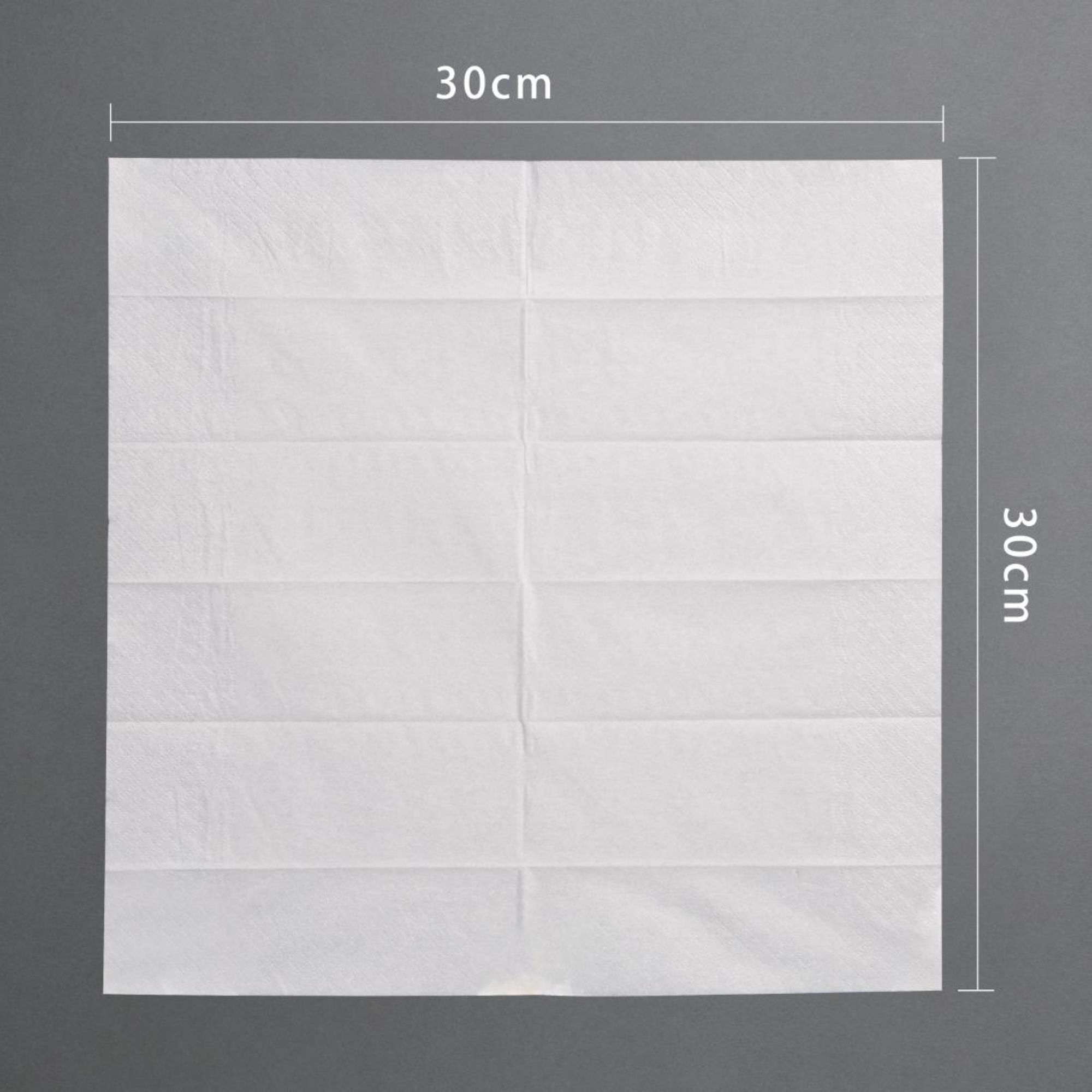 Picture of Fiesta Compostable Wooden Cutlery Meal Pack (Pack of 250)