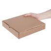 Picture of Fiesta Compostable Plain Pizza Boxes 9" (Pack of 100) - DC723
