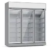 Picture of CombiSteel Glass Door Freezer INS-1530F - 7455.2430
