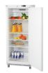 Picture of Refrigerator 600 WSTL - 700854
