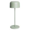 Picture of Olympia Siena Table Lamp Round Dome Sage 300mm - HZ210