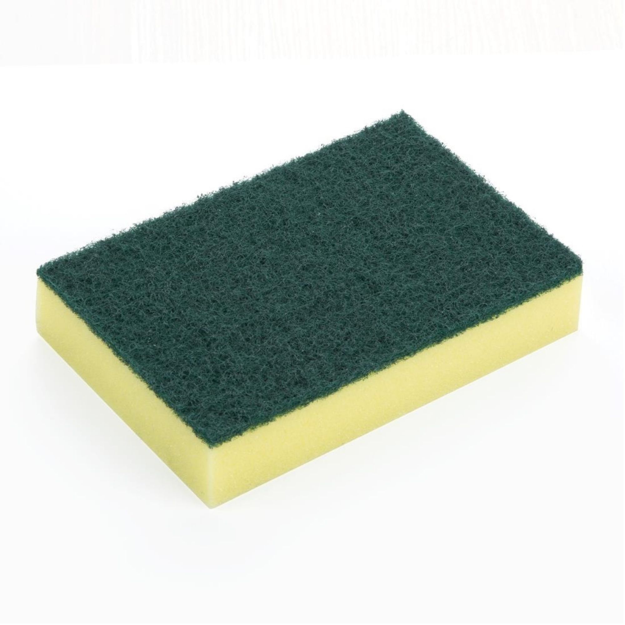 Picture of Jantex Foam Scourers (10 Pack) - HX273
