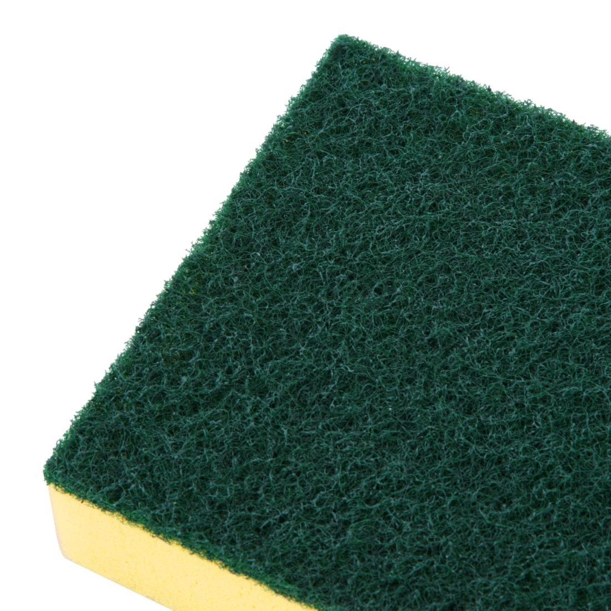 Picture of Jantex Foam Scourers (10 Pack)