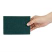 Picture of Jantex Foam Scourers (10 Pack) - HX273