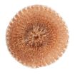Picture of Jantex Coppercote Scourers (20 Pack) - HX239