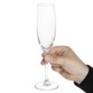 Picture of Olympia Novello Crystal Champagne Flutes 180ml (6 pack) - HW653