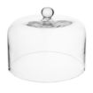 Picture of Olympia Glass Dome 240x190mm - HW799