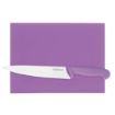 Picture of Hygiplas High Density Purple Chopping Board Small 305x229x12mm - FX100