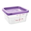Picture of Hygiplas Square Food Storage Container Lid Purple Small - FX143