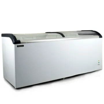 Picture of BLIZZARD 220L Curved Glass Lid Freezer BDF22