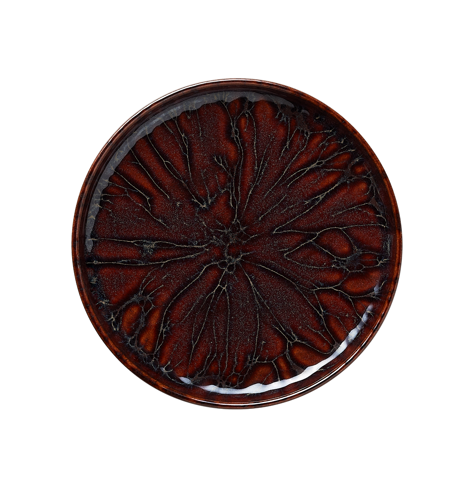 Picture of Plate Amazonas Pack Size 6 - 452101022