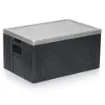 Picture of GN insulated transport container - 2003530