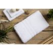 Picture of Mitre Comfort Nova Bath Sheet White - GT791