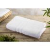 Picture of Mitre Comfort Nova Bath Sheet White - GT791