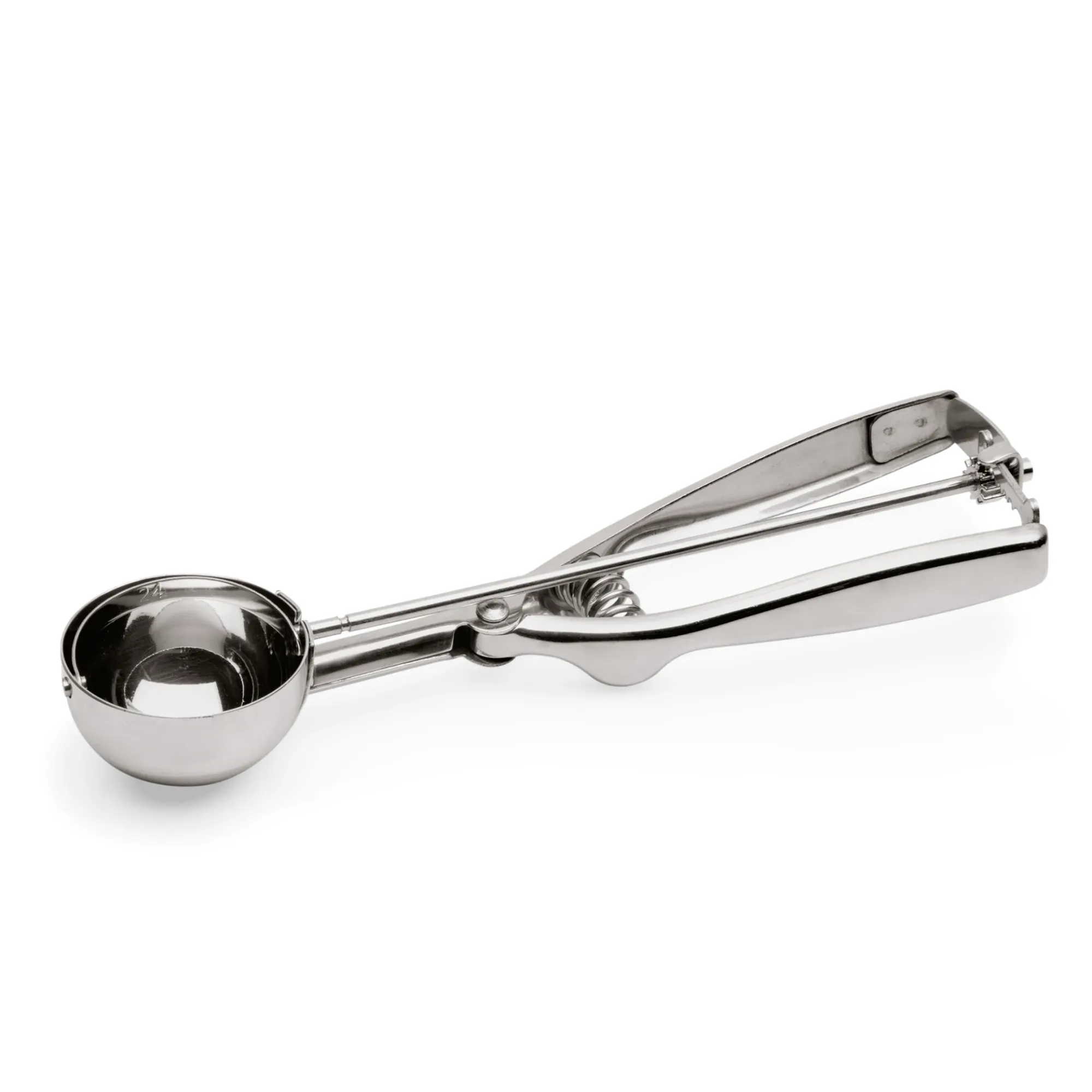 Picture of Scoop - 1443065