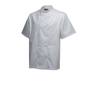 Picture of Basic Stud Jacket (Short Sleeve) White L Size