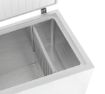 Picture of Chest freezer 391-W - 700968