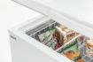 Picture of Chest freezer 391-W - 700968