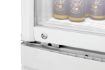 Picture of Glass-doored refrigerator 302L WB - 700611