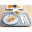 Picture of Olympia Kristallon Polypropylene Fast Food Tray Grey Large 450mm - P508