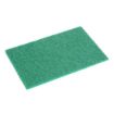 Picture of Jantex Green 100% Recycled Scouring Pads 9x6" (10 pack) - HW010