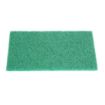 Picture of Jantex Green 100% Recycled Scouring Pads 9x6" (10 pack) - HW010