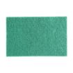 Picture of Jantex Green 100% Recycled Scouring Pads 9x6" (10 pack) - HW010