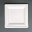 Picture of Fiesta Compostable Bagasse Square Plates 261mm (50 Pack) - FC520