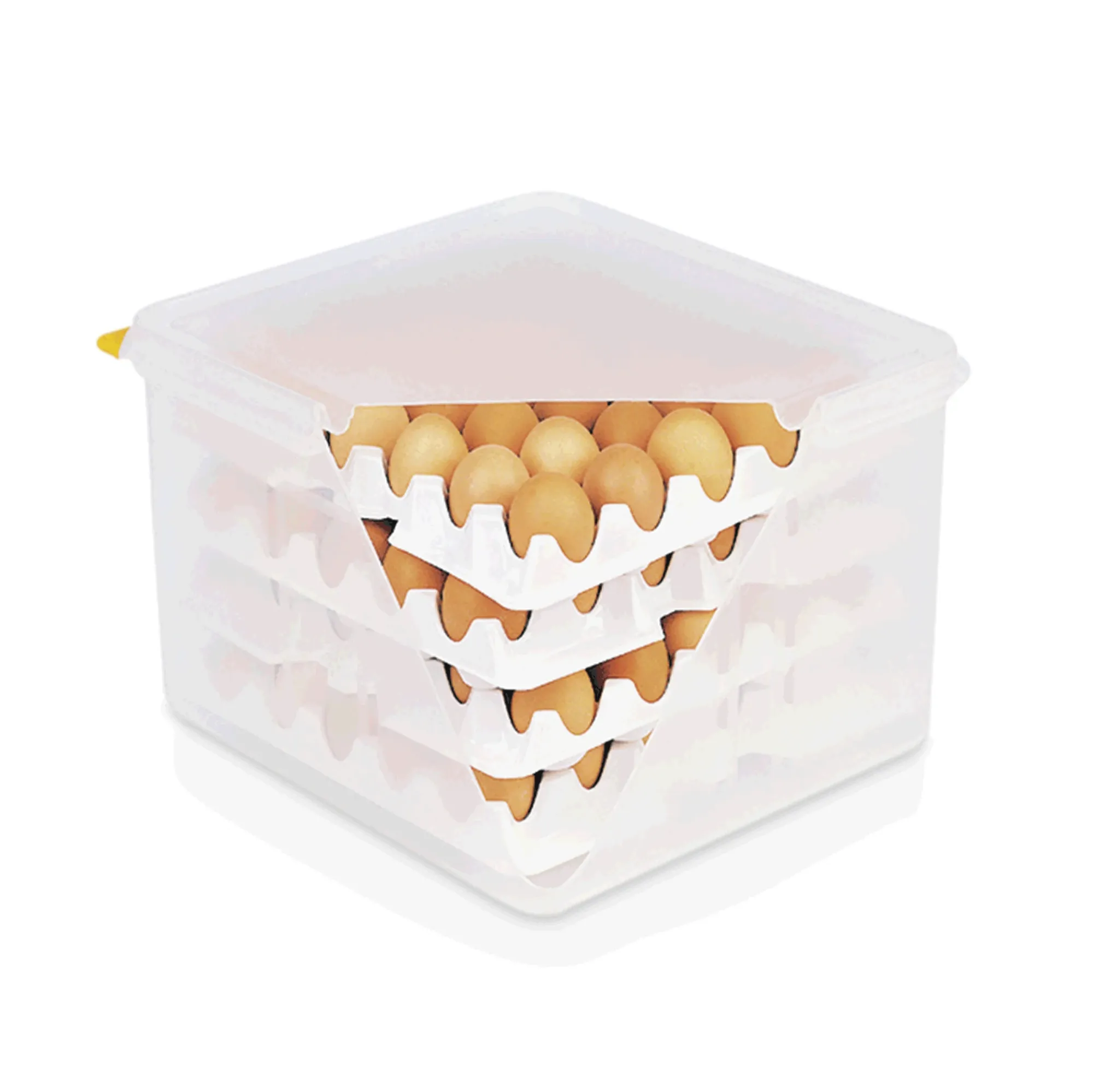 Picture of HACCP egg box - 8623120