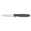 Picture of Kitchen knife HACCP paring knife Black - 6903084