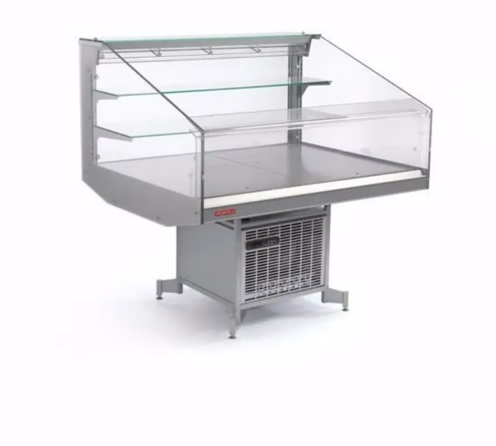 Fresh Fish Display Fridges