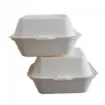 Picture of Bagasse Hamburger Box X 500 - 38300044