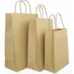 Picture of Kraft Twist Handle Bags Large X 250 - 05302949