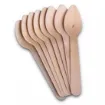 Picture of Wooden Tea Spoon X 100 - 05263074